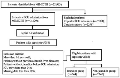 The Hyperbilirubinemia and Potential Predictors Influence on Long-Term Outcomes in Sepsis: A Population-Based Propensity Score-Matched Study